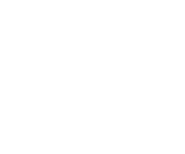 GIANTX (1)