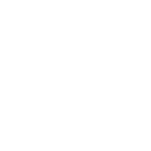Riyadh Falcons